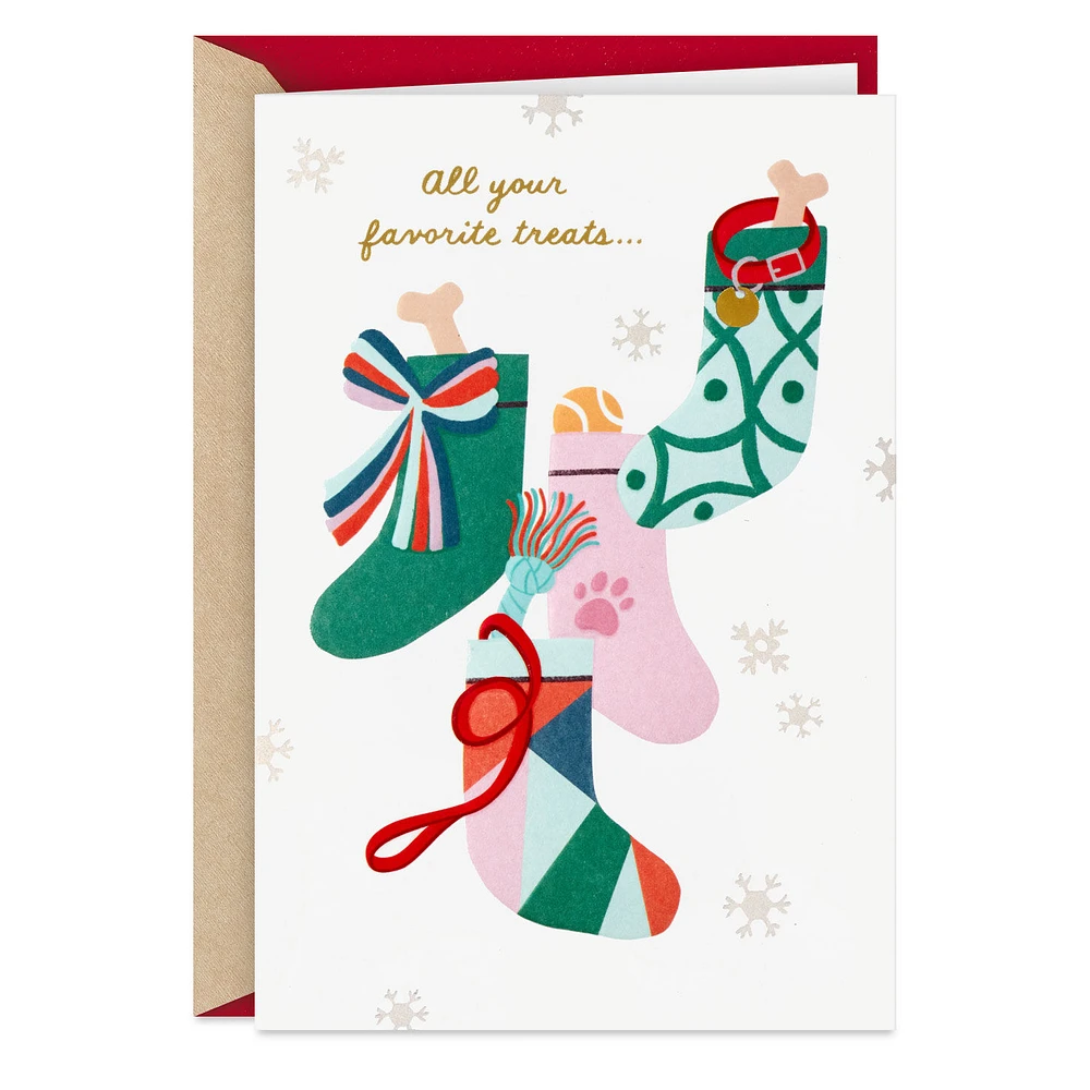 Best Human Ever Christmas Card From the Dog for only USD 4.99 | Hallmark
