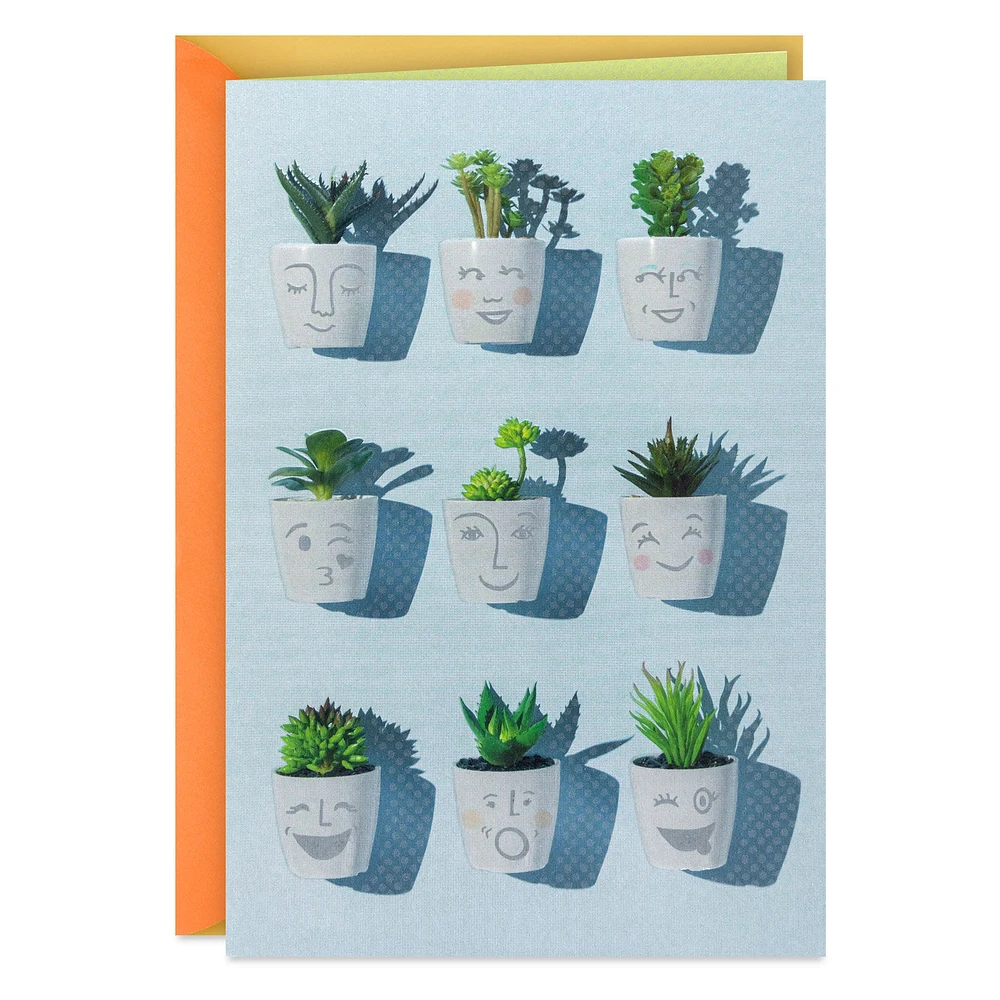 Smiling Succulent Plants Blank Card for only USD 4.59 | Hallmark