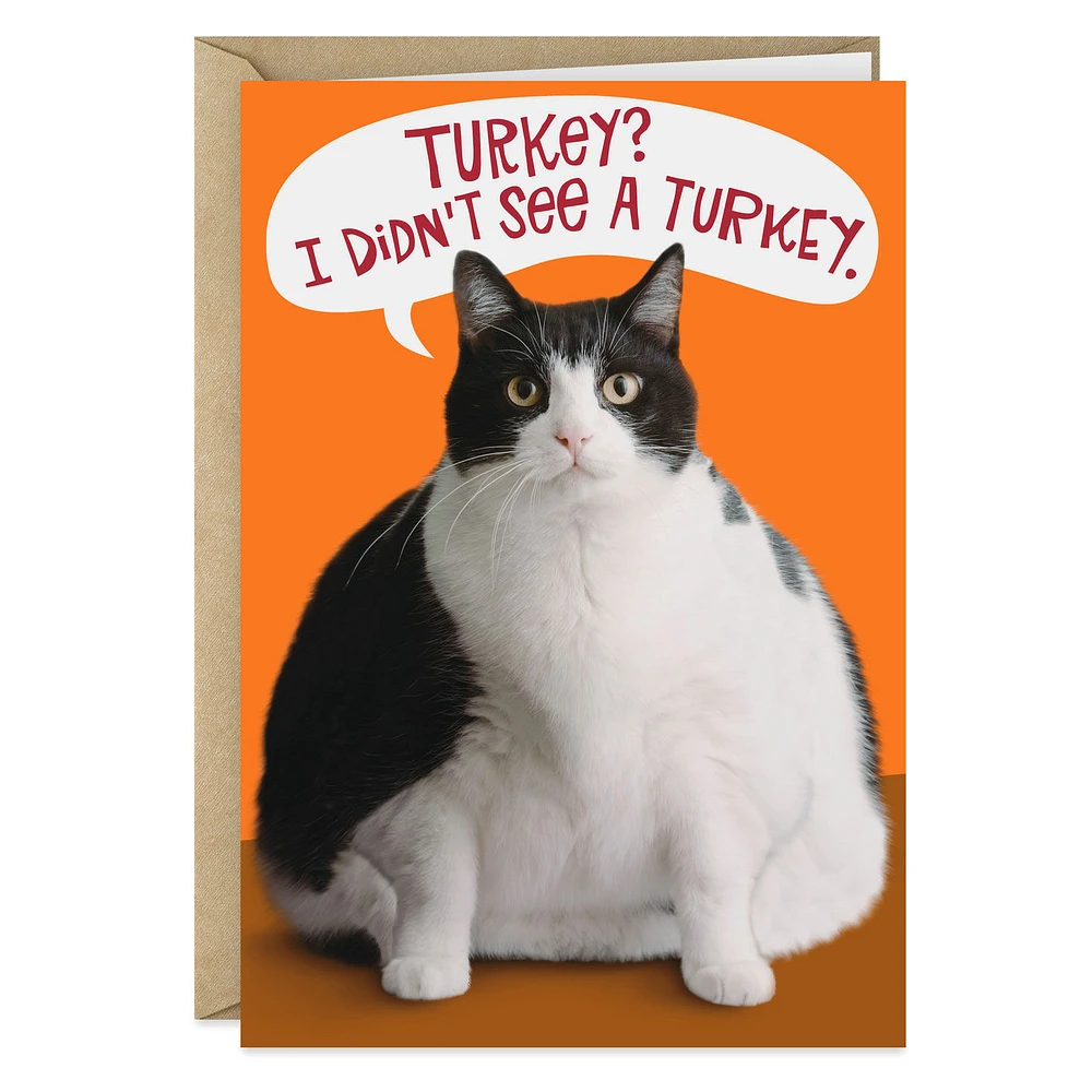 Fat Cat Funny Thanksgiving Card for only USD 3.49 | Hallmark