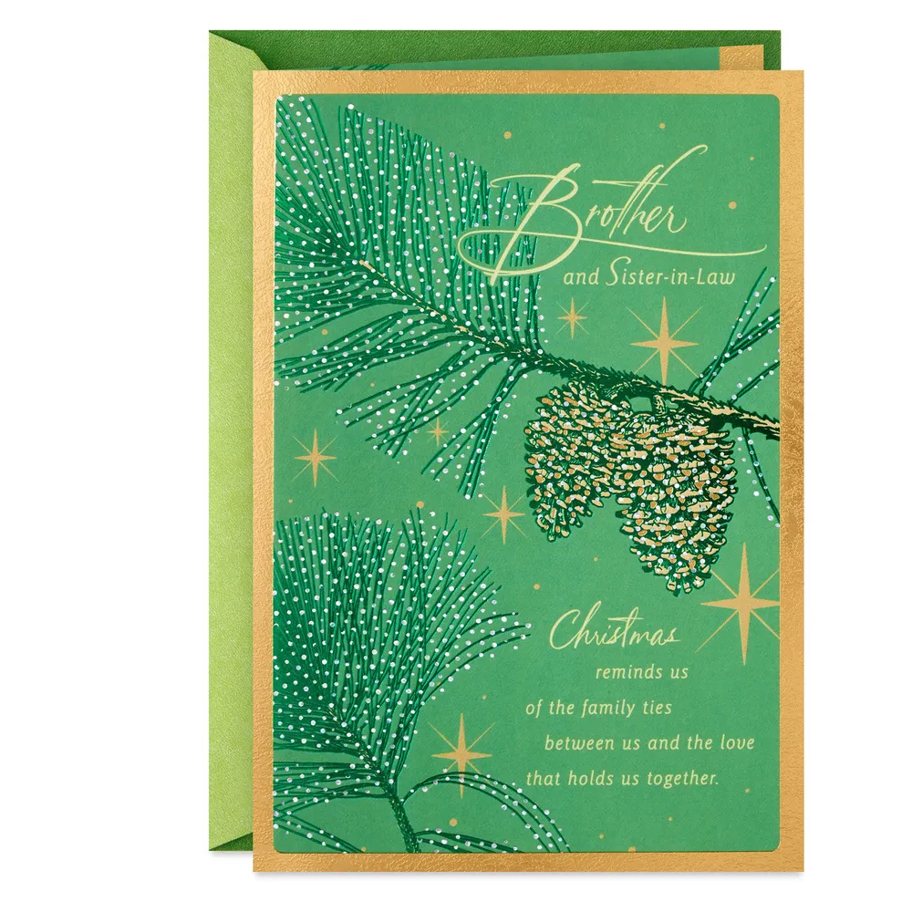 Family Ties Christmas Card for Brother and Sister-and-Law for only USD 5.59 | Hallmark