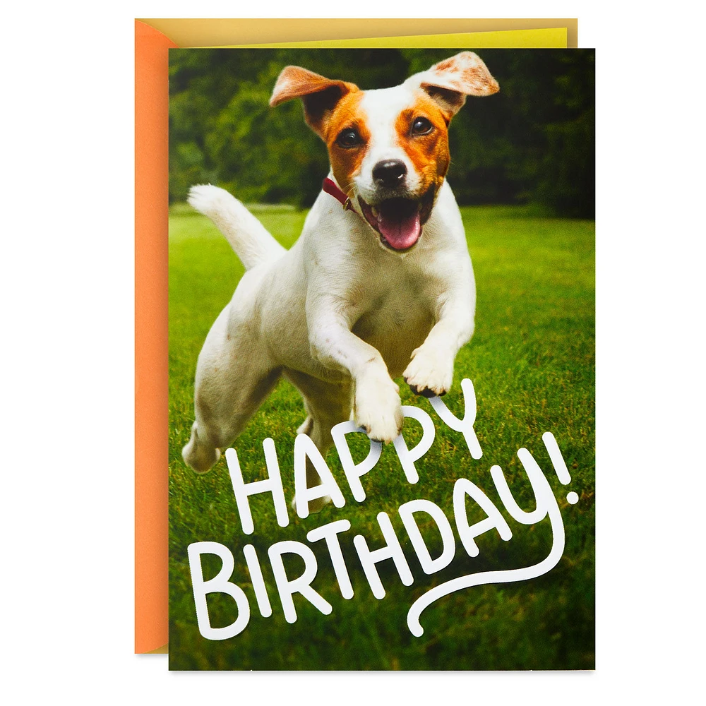 Have an Off-Leash Kind of Day Funny Birthday Card for only USD 2.99 | Hallmark