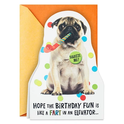 Impossible to Ignore Funny Musical Birthday Card With Sound for only USD 5.99 | Hallmark