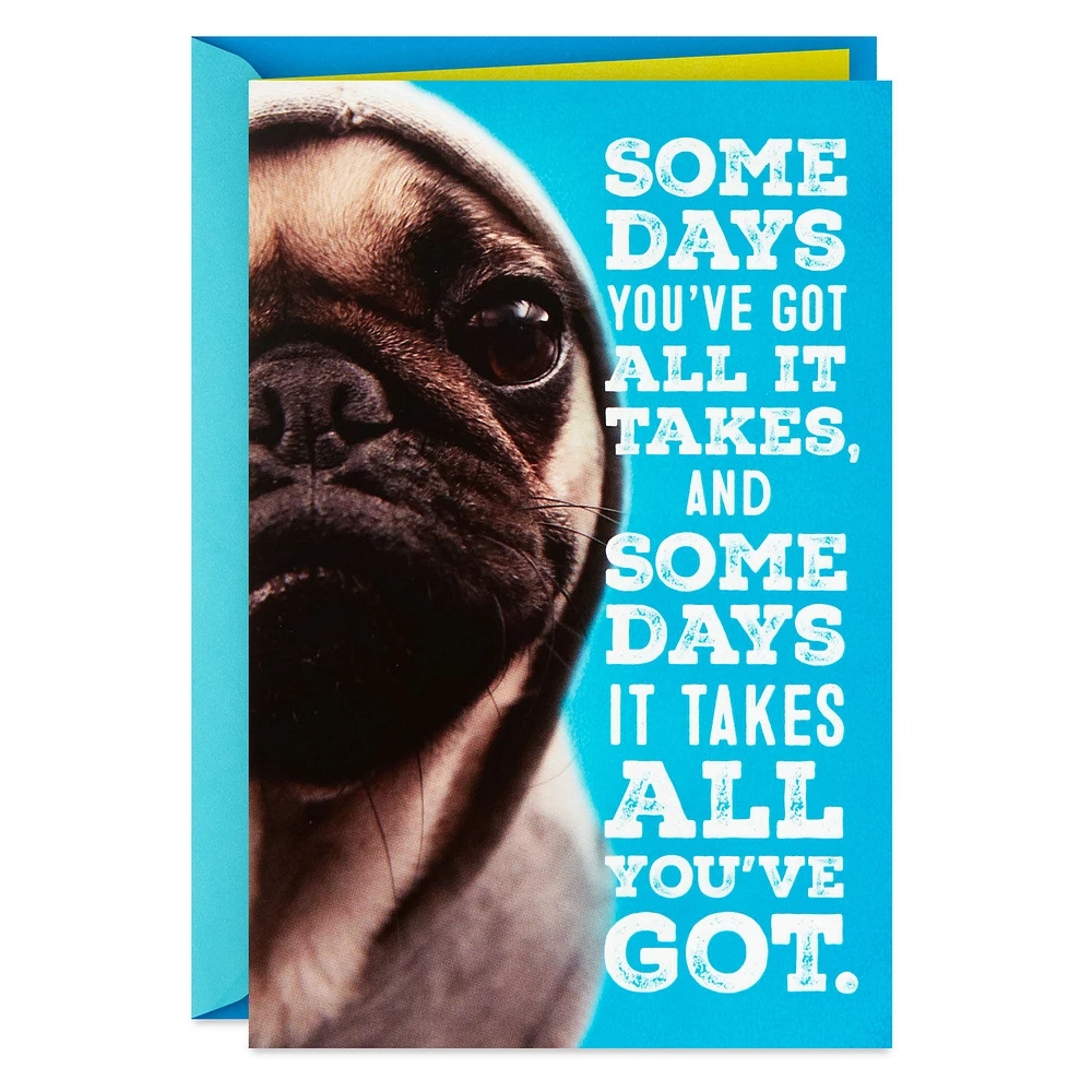 Hang in There Dog in Hoodie Encouragement Card for only USD 3.99 | Hallmark