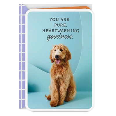 You Are Pure Goodness Thank You Card for only USD 2.99 | Hallmark