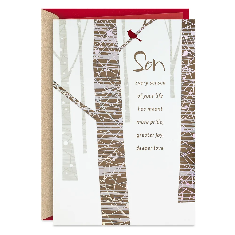 You Brighten the World Christmas Card for Son for only USD 5.59 | Hallmark