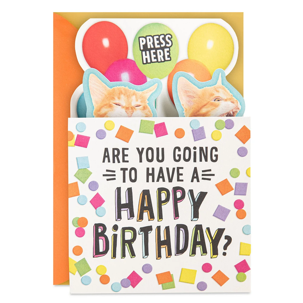 Singing Cats Funny Musical Pop-Up Birthday Card for only USD 7.59 | Hallmark