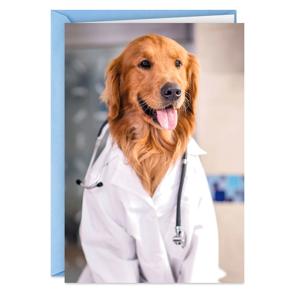 Dog Doctor Funny Get Well Card for only USD 3.99 | Hallmark