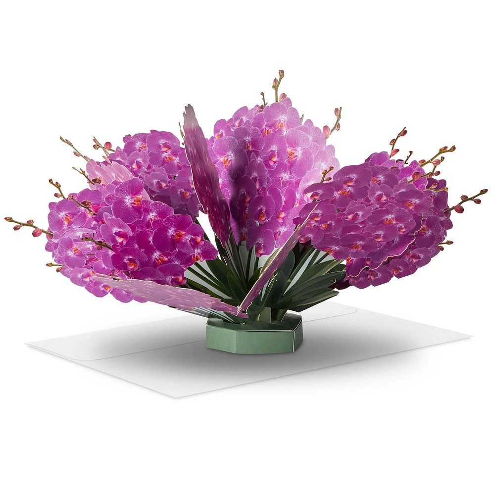 Build-a-Bouquet Fuchsia Orchids Pop-Up Paper Flowers for only USD 9.99 | Hallmark