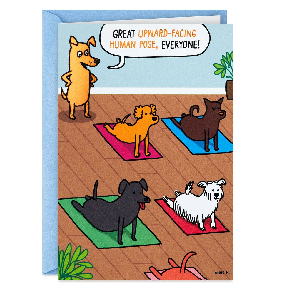 Dogs Doing Yoga Poses Funny Birthday Card for only USD 4.49 | Hallmark