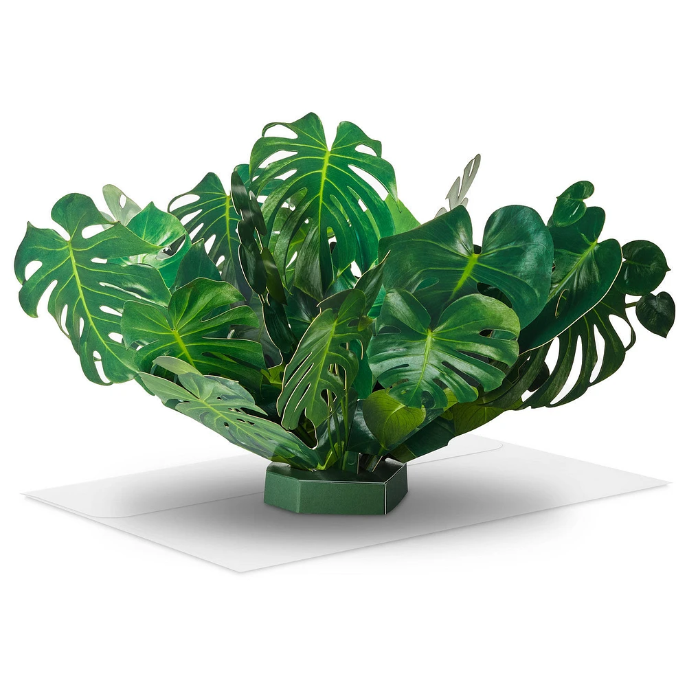 Build-a-Bouquet Monstera Pop-Up Paper Plant for only USD 9.99 | Hallmark