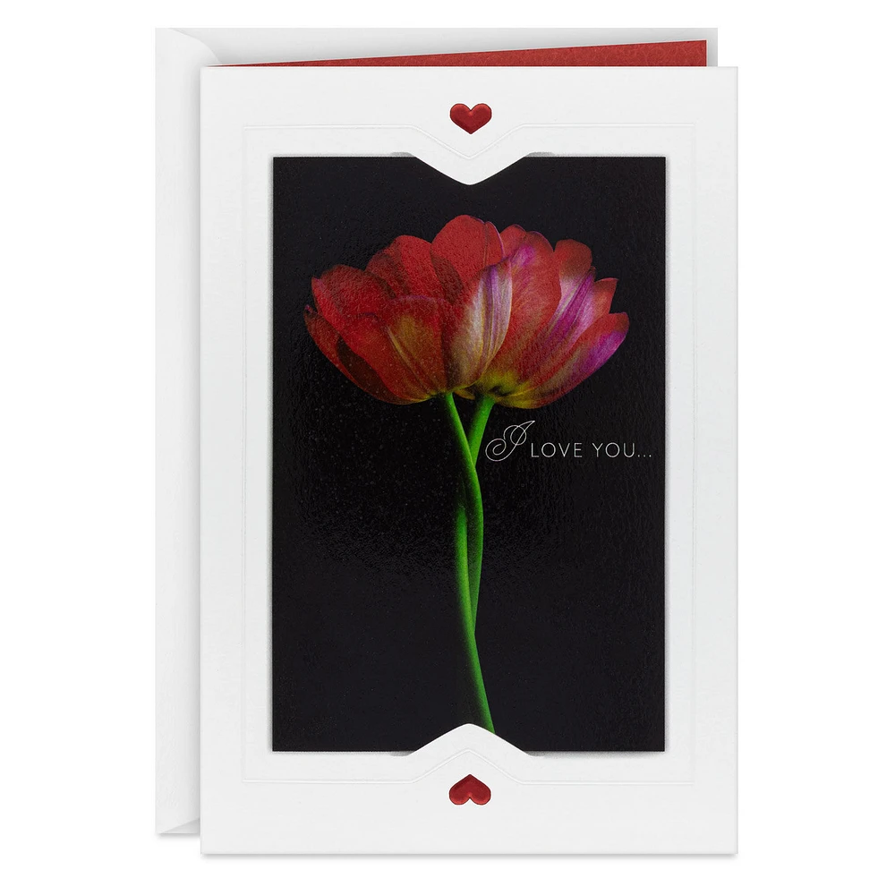 Love You All Day, Especially on Our Day Romantic Anniversary Card for Spouse for only USD 5.99 | Hallmark