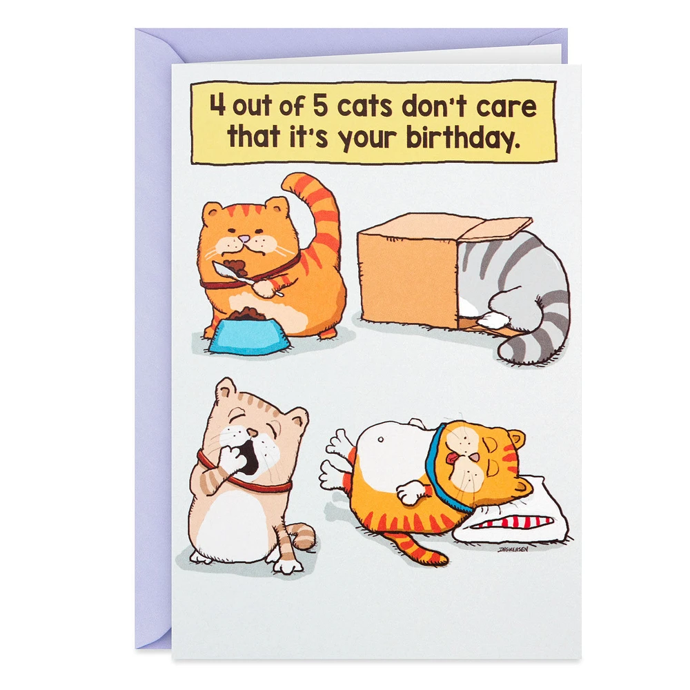Cats Don't Care Funny Birthday Card for only USD 3.99 | Hallmark