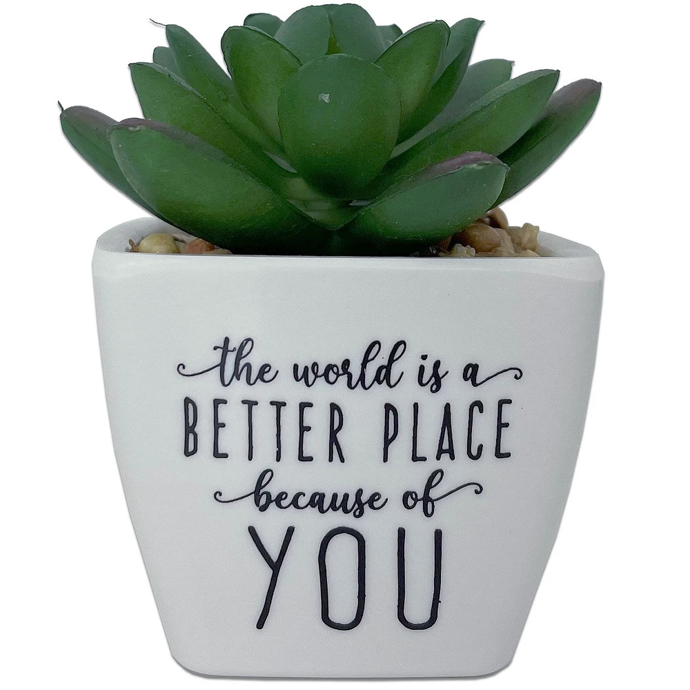 Faux Potted Succulent With Complimentary Message for only USD 9.99 | Hallmark