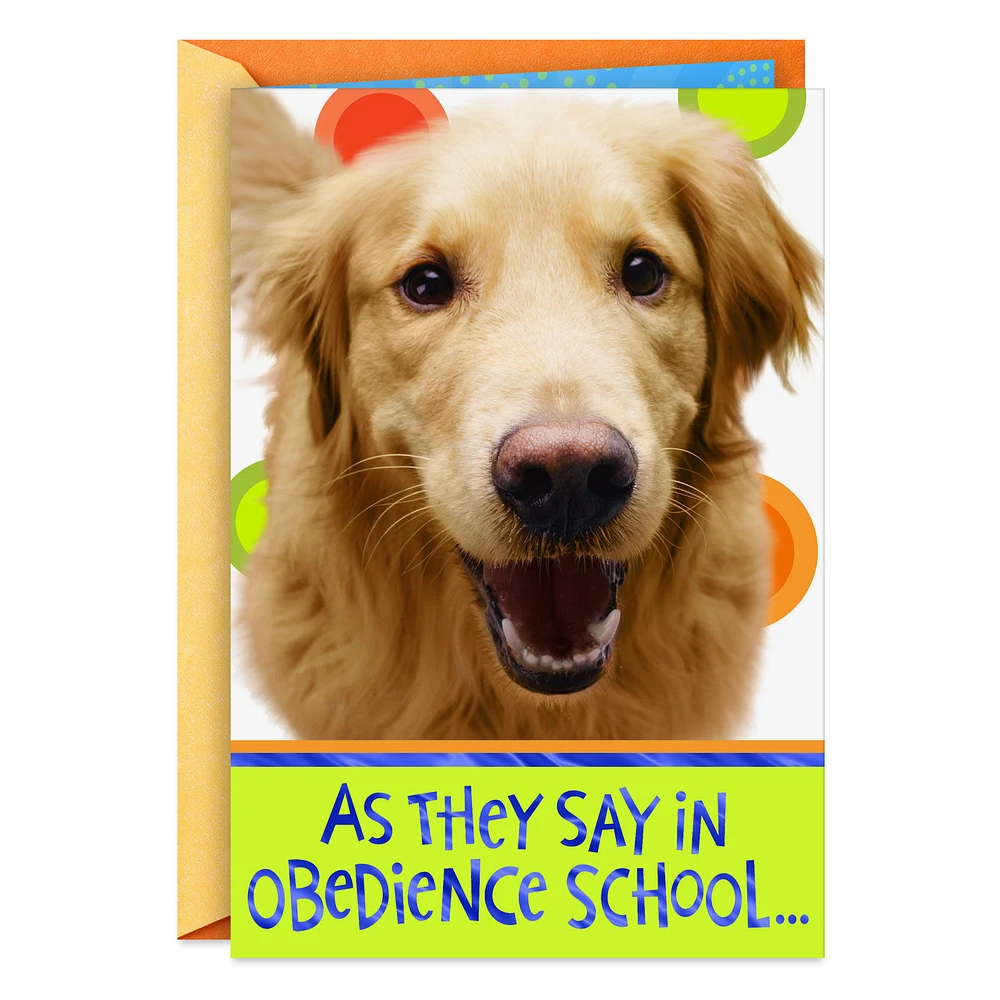 Golden Retriever Heal Get Well Card for only USD 3.99 | Hallmark