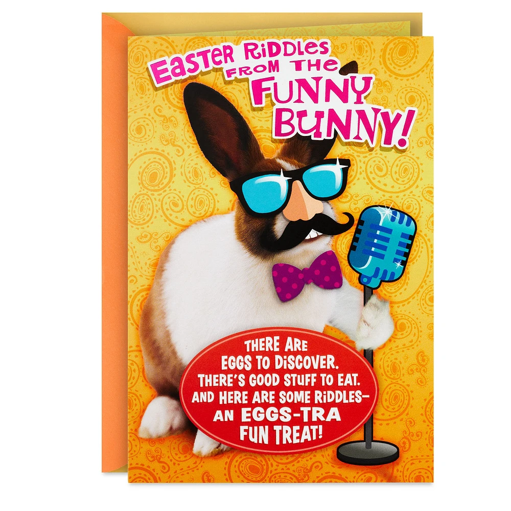 Riddles From the Funny Bunny Lift-the-Flap Easter Card for only USD 2.99 | Hallmark