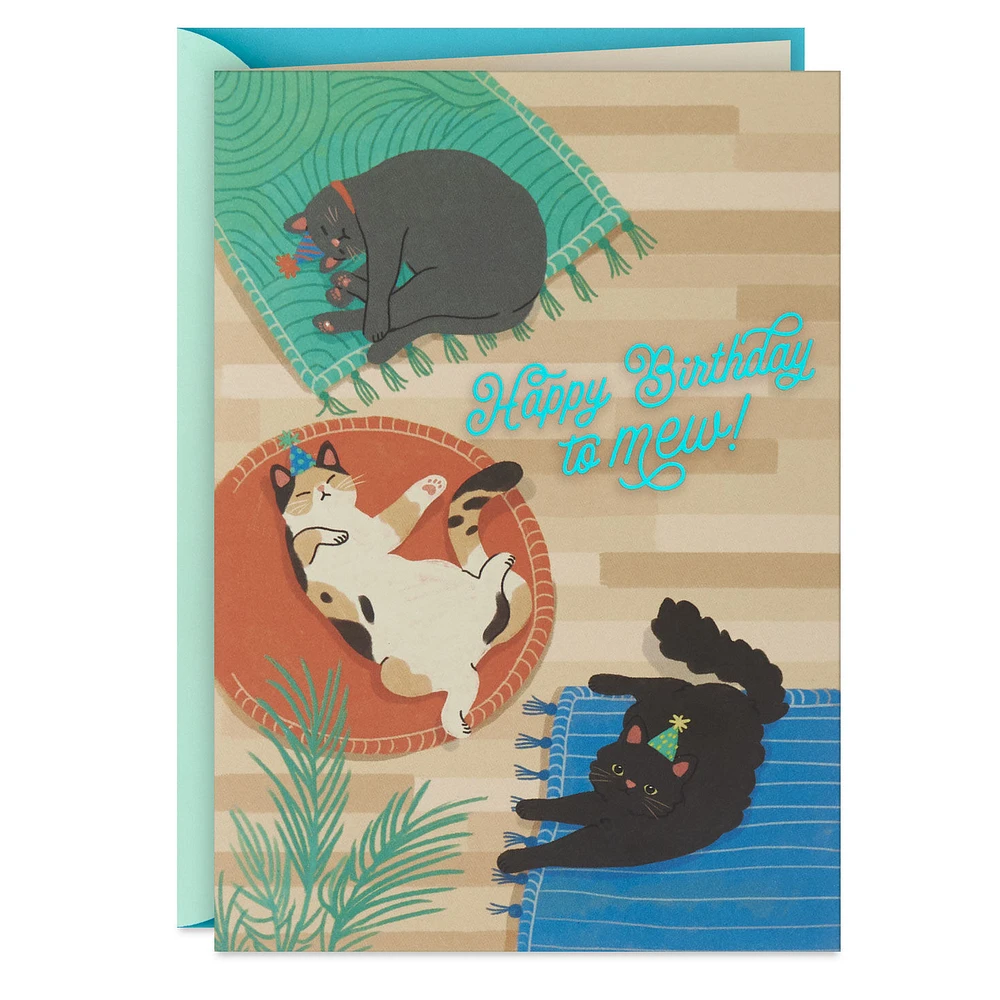 Find Your Sunny Spot Birthday Card From the Cat for only USD 2.99 | Hallmark