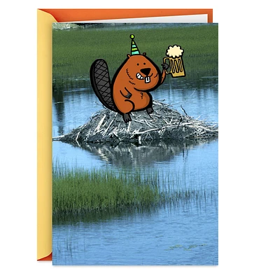 Another Dam Birthday Funny Birthday Card for only USD 2.99 | Hallmark