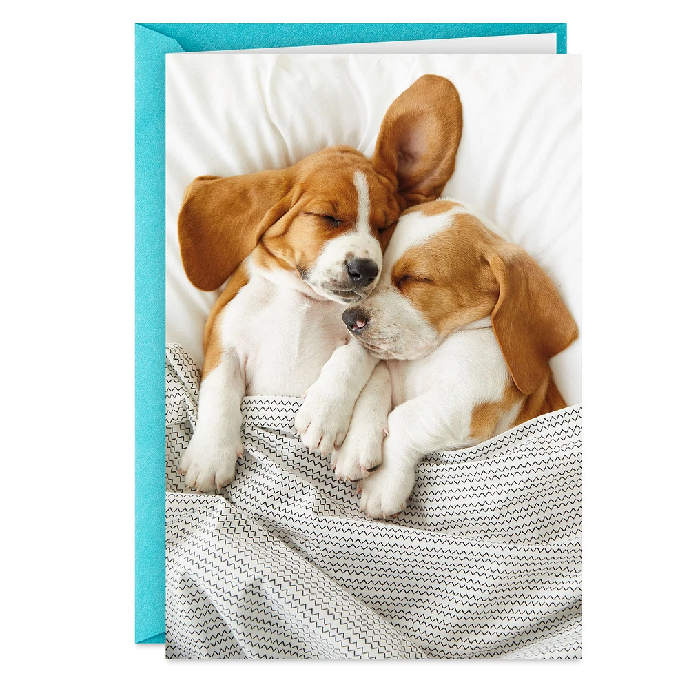 Still the Cutest Anniversary Card for Couple for only USD 3.99 | Hallmark