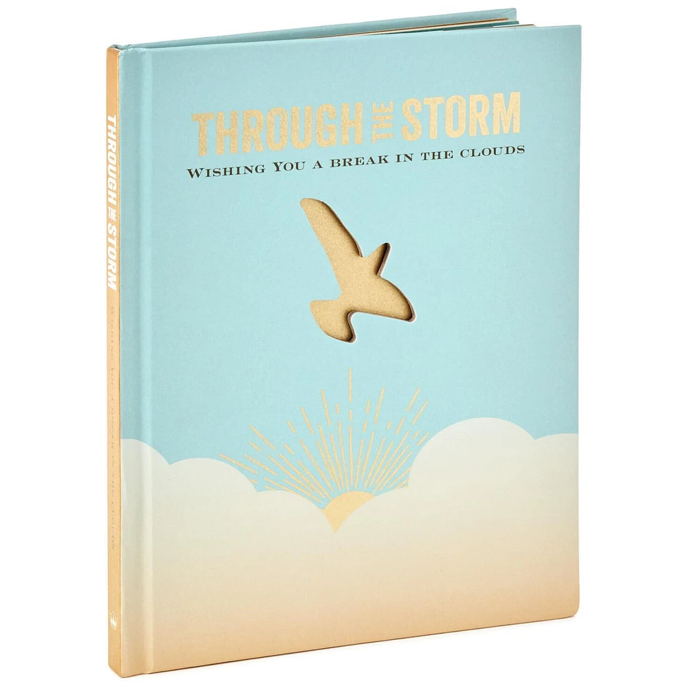 Through the Storm: Wishing You a Break in the Clouds Book for only USD 14.99 | Hallmark