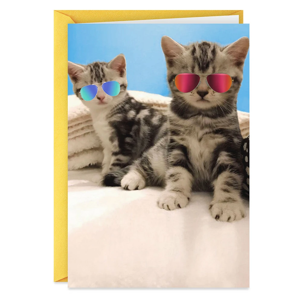 Awesome Cats in Reflective Sunglasses Funny Friendship Card for only USD 3.99 | Hallmark
