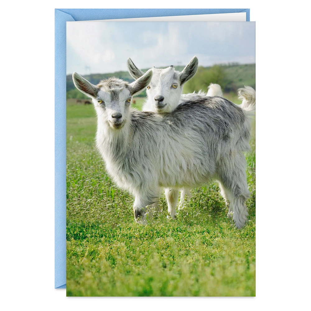 Crazy Kids in Love Funny Anniversary Card for only USD 3.99 | Hallmark