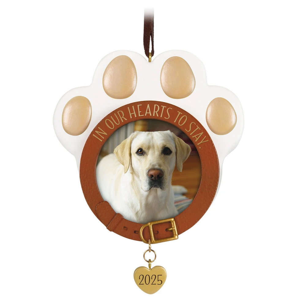 In Our Hearts to Stay 2025 Photo Frame Ornament for only USD 24.99 | Hallmark
