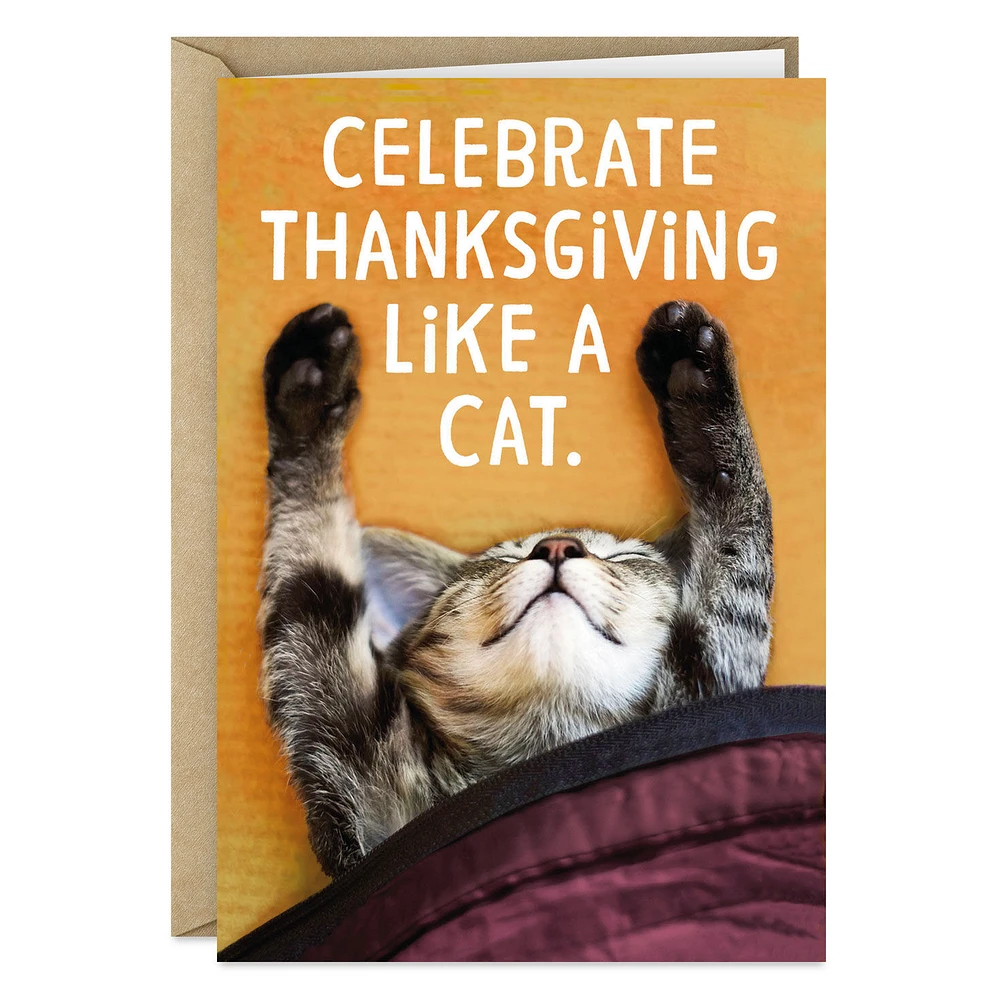 Celebrate Like a Cat Funny Thanksgiving Card for only USD 3.69 | Hallmark
