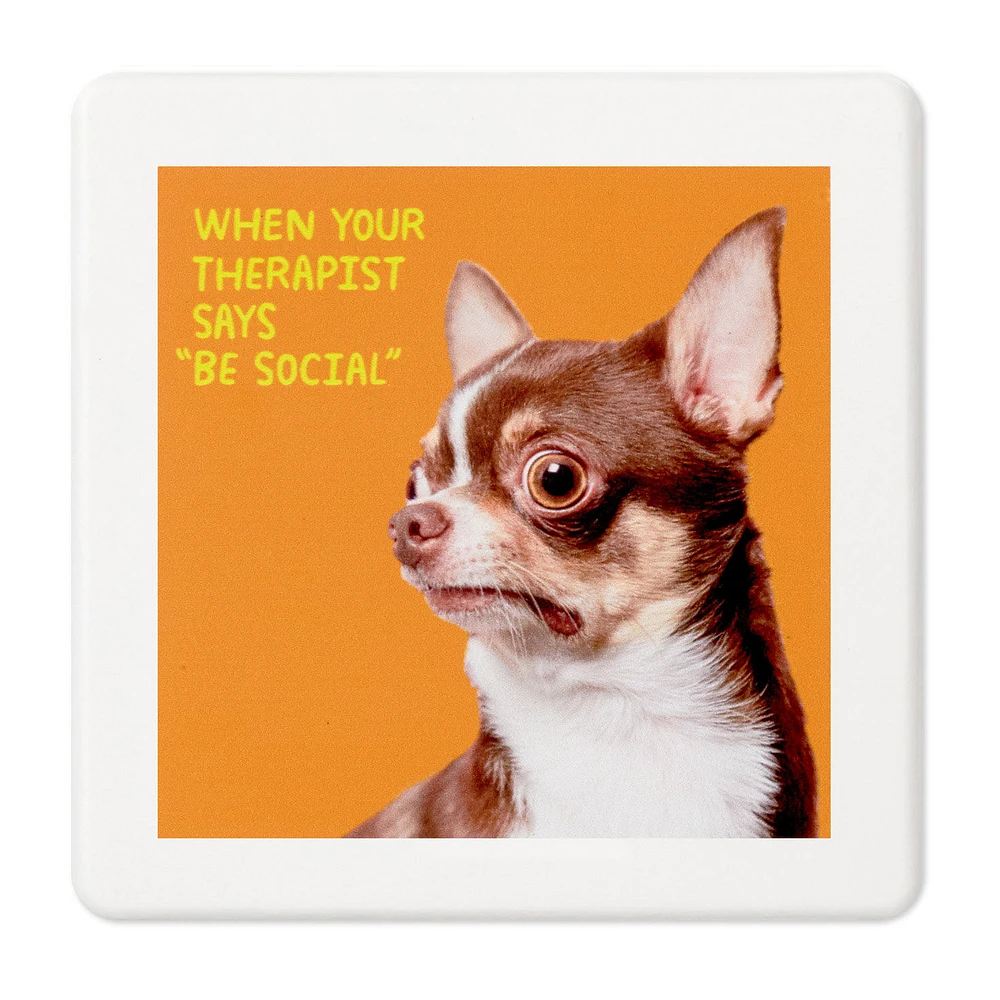 Scared Chihuahua Photo Funny Coaster for only USD 4.99 | Hallmark