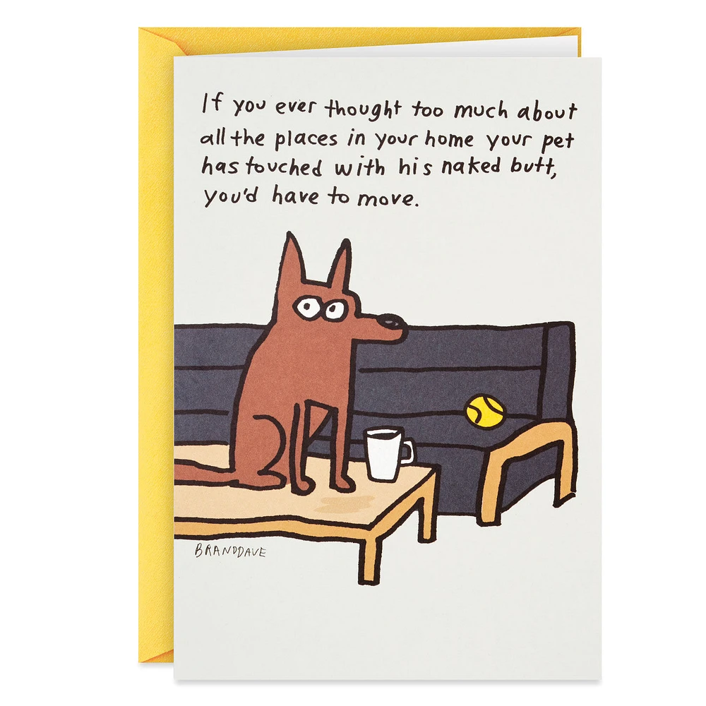 Where the Dog Sits Funny Birthday Card for only USD 3.99 | Hallmark