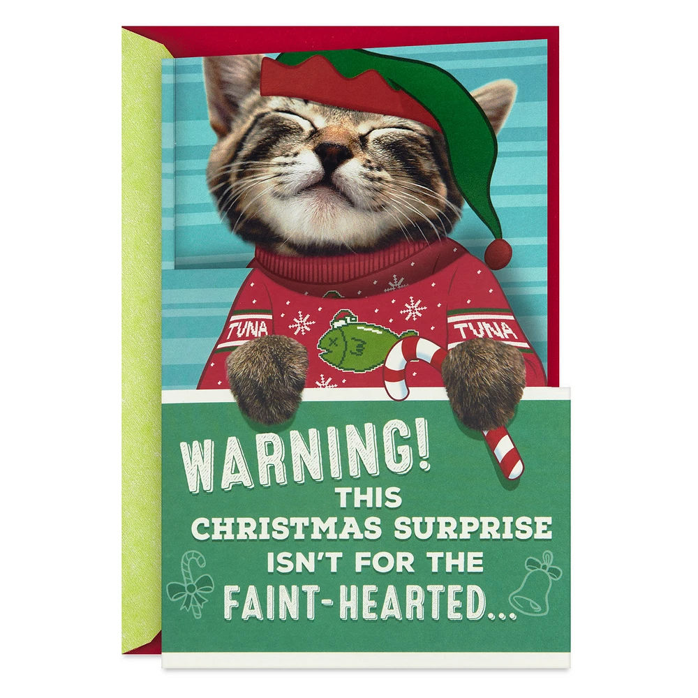 Ticklish Kitten Funny Christmas Card With Sound and Motion for only USD 9.99 | Hallmark