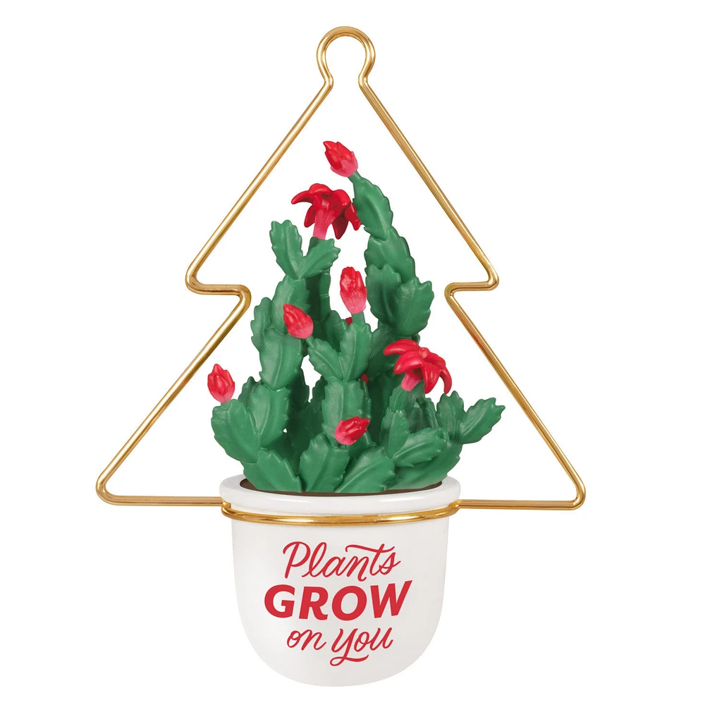 Plants Grow on You Ornament for only USD 24.99 | Hallmark