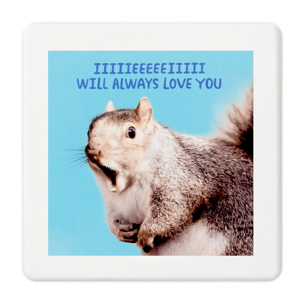 Singing Squirrel Photo Funny Coaster for only USD 4.99 | Hallmark