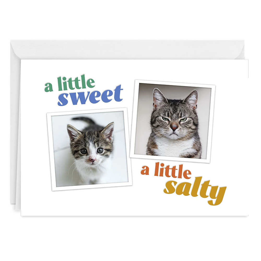 Sweet and Salty Funny Custom Card for only USD 4.99 | Hallmark