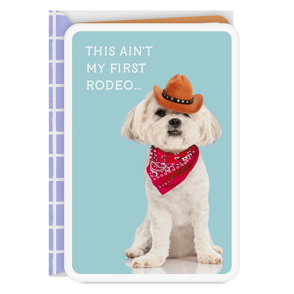 You're One Cool Kid Card for only USD 2.99 | Hallmark
