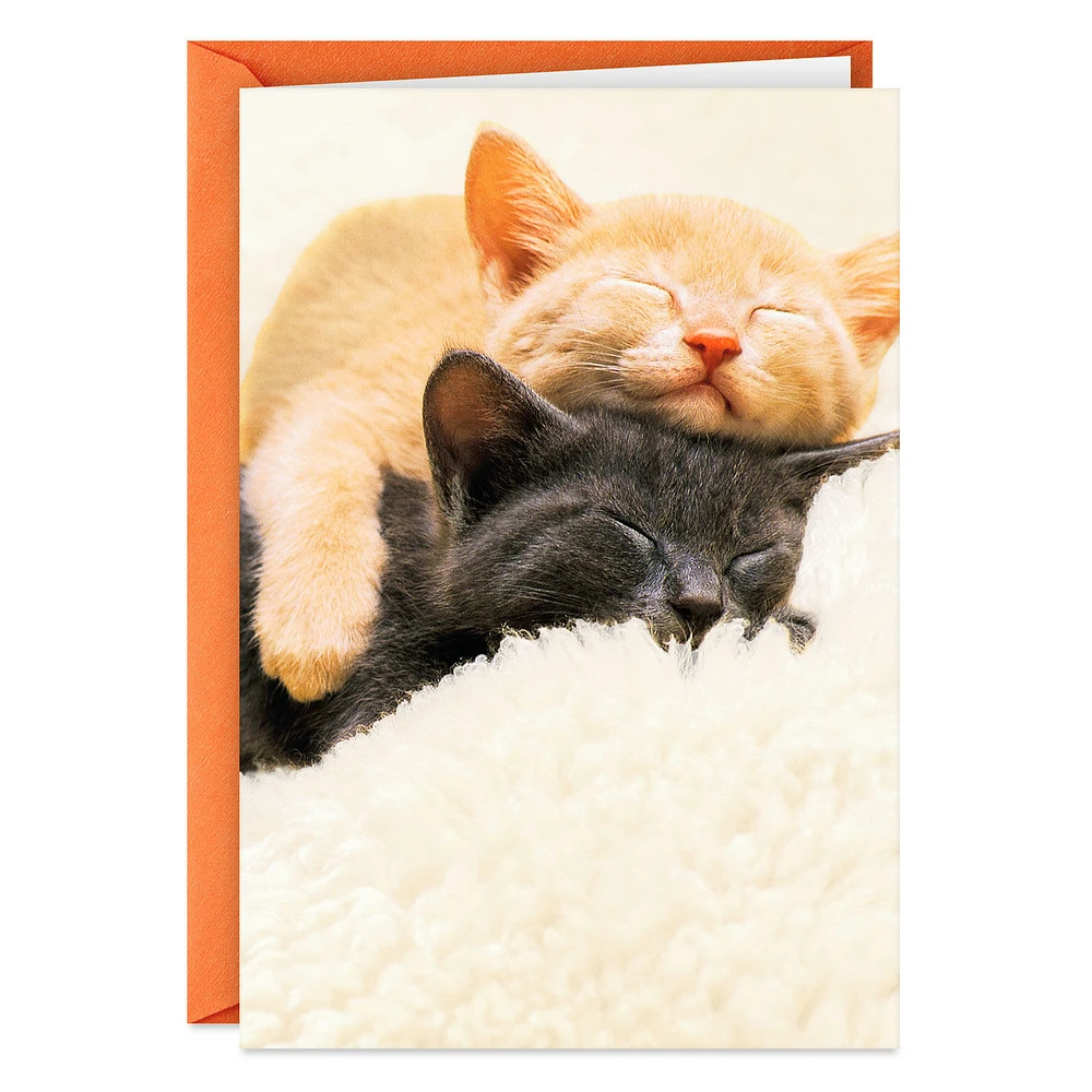 Spending All Nine Lives With You Love Card for only USD 3.99 | Hallmark