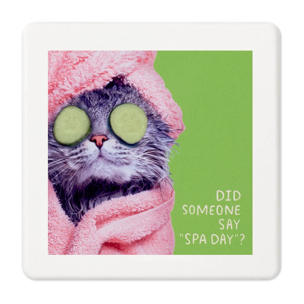 Pampered Cat Photo Funny Coaster for only USD 4.99 | Hallmark
