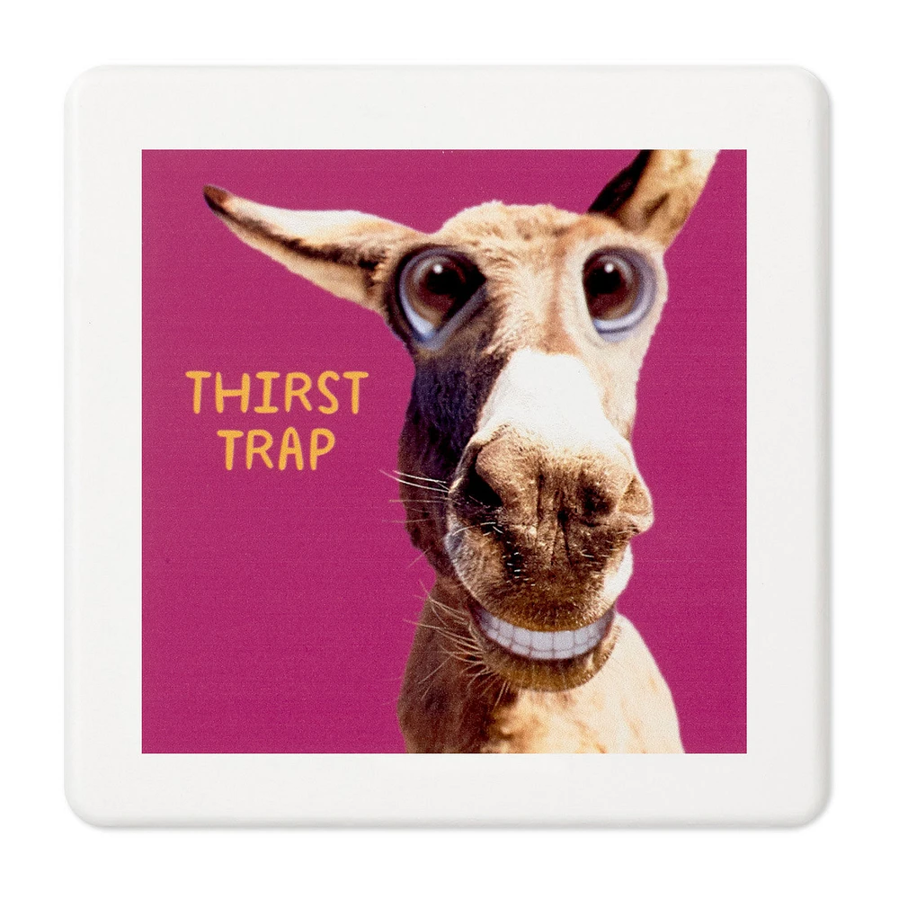 Smiling Donkey Photo Funny Coaster for only USD 4.99 | Hallmark