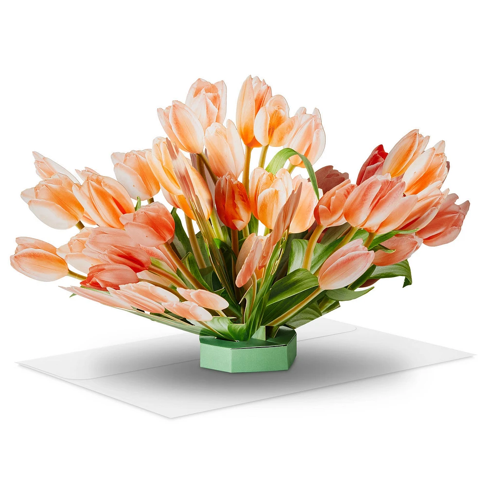 Build-a-Bouquet Peach Tulips Pop-Up Paper Flowers for only USD 9.99 | Hallmark