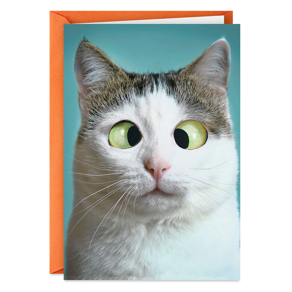 So Much Love I Can't See Straight Funny Love Card for only USD 3.99 | Hallmark