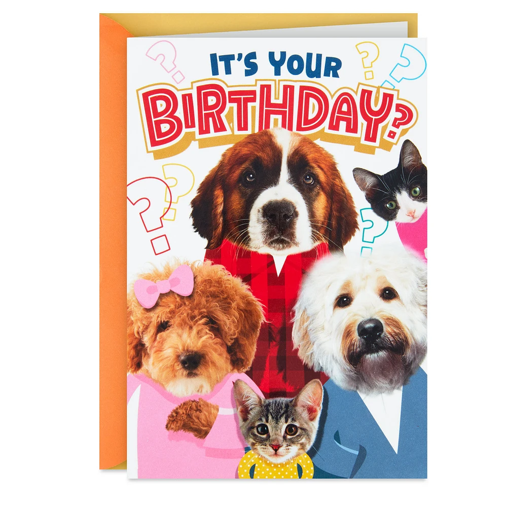 Round of Appaws Pop-Up Birthday Card for only USD 4.59 | Hallmark
