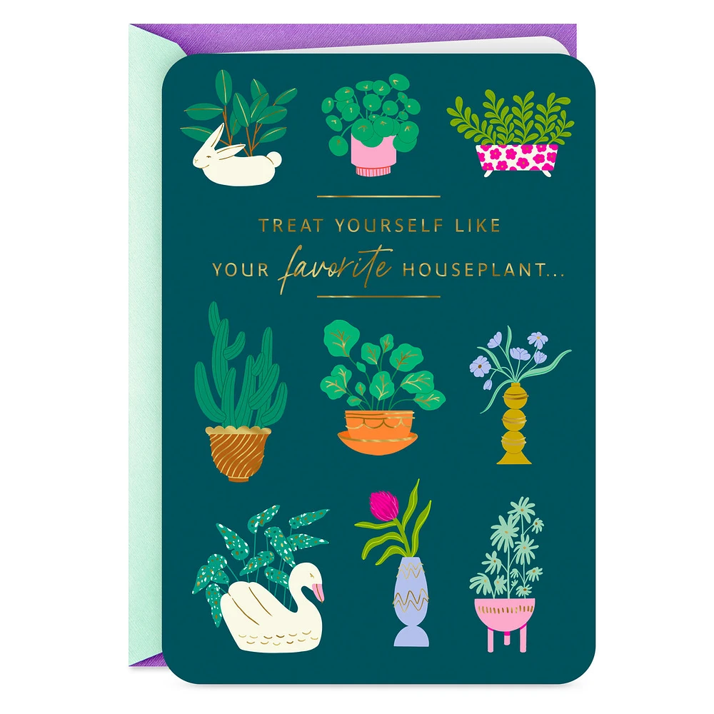Treat Yourself Like a Plant Funny Birthday Card for only USD 2.99 | Hallmark