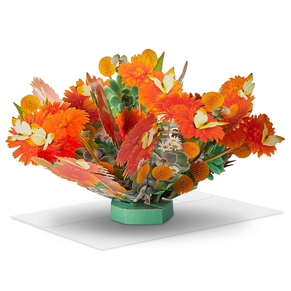Build-a-Bouquet Butterflies and Daisies Pop-Up Paper Flowers for only USD 9.99 | Hallmark