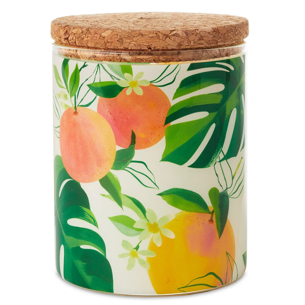 Mandarin Orange and Grapefruit Scented 2-Wick Jar Candle, 14.5 oz. for only USD 19.99 | Hallmark