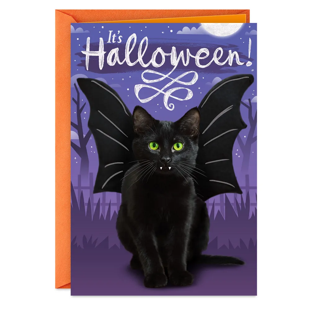 Scare Up Some Fun Black Cat Bat Halloween Card for only USD 0.99 | Hallmark