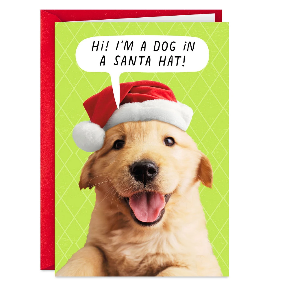 Puppy Dog in Santa Hat Funny Christmas Card for only USD 3.69 | Hallmark