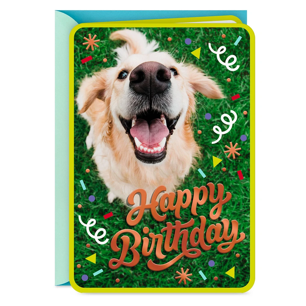 Doggone Happiness Birthday Card for only USD 2.99 | Hallmark