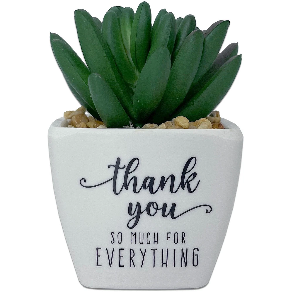 Faux Potted Succulent With Thank-You Message for only USD 9.99 | Hallmark