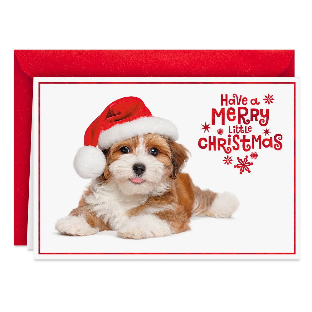 Warm Smiles Puppy Dog in Santa Hat Christmas Card for only USD 0.99 | Hallmark