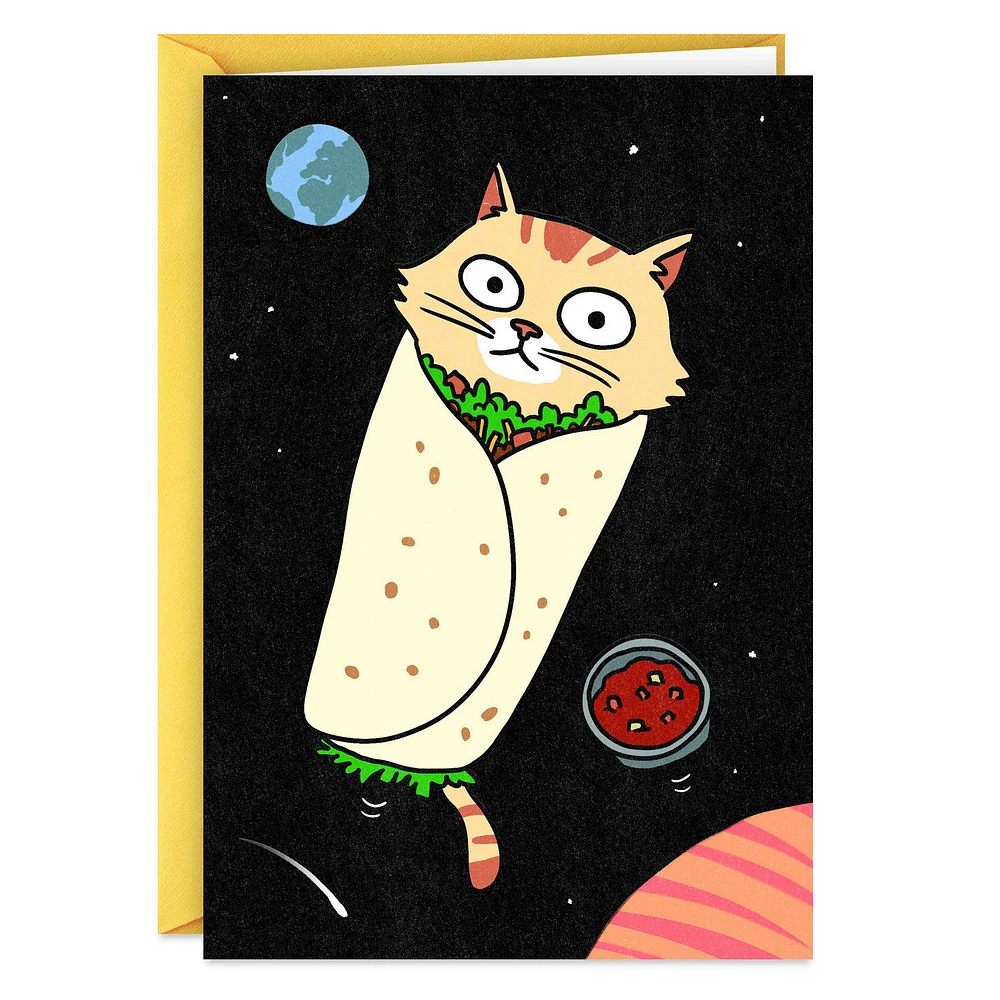 Purrito Funny Card for only USD 4.49 | Hallmark