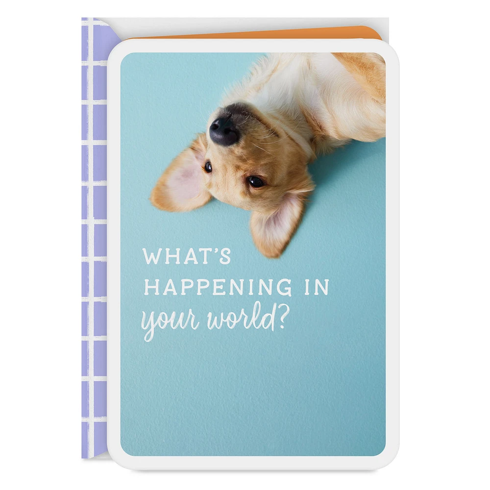 What's Happening in Your World Blank Card for only USD 2.99 | Hallmark